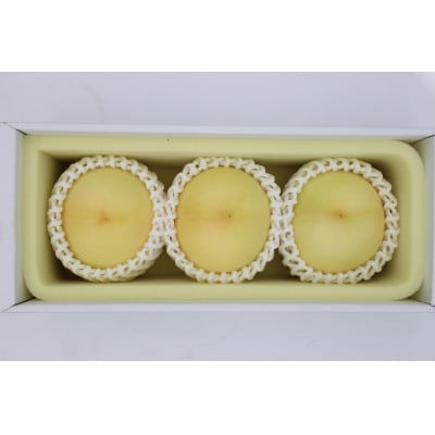 2026年 岡山白桃ロイヤル(1箱3玉)800g【配送不可地域：離島】