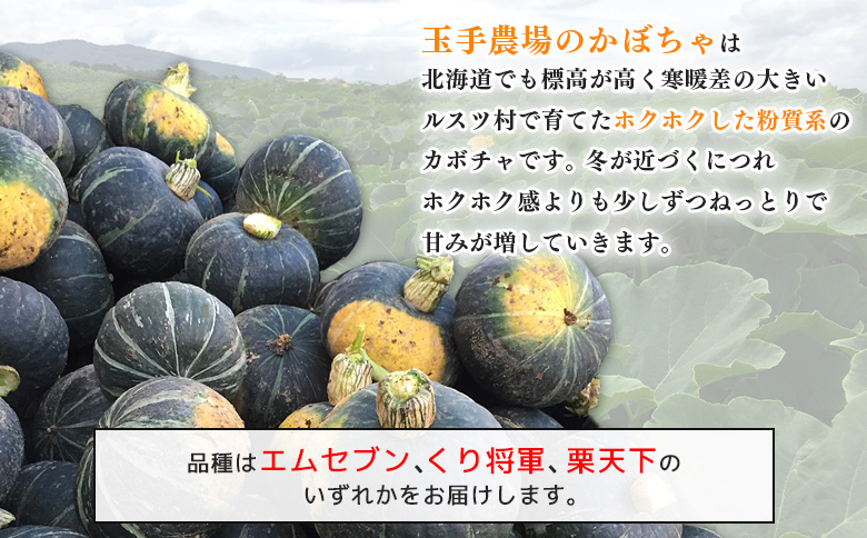 【先行予約】（生産者直送）じゃがいもVIP（キタアカリ）・かぼちゃ1玉セット合計10ｋｇ【12004】