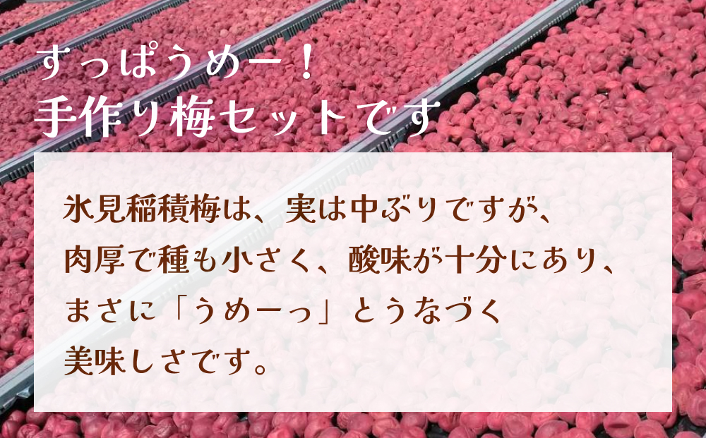 うめーっ！氷見稲積梅 梅干し・しそ粉・梅肉セット 富山県