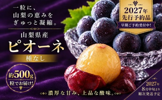 【2027年先行予約】山梨県産 種なし ピオーネ 約500g 粒でお届け ぶどう budou BUDOU 葡萄 ブドウ フルーツ 果物 くだもの デザート 黒葡萄 黒ブドウ 黒ぶどう 濃厚【アズールヤード】