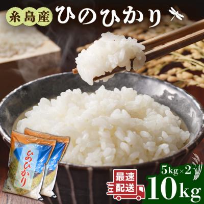 ふるさと納税 糸島市 糸島産 ひのひかり 10kg 糸島市/三島商店[AIM004]