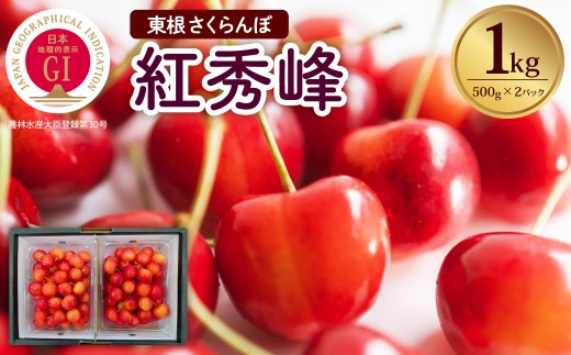 【2027年産 先行受付】 GI 東根さくらんぼ 紅秀峰 1kg (500g×2P) 山形県 東根市 滝口観光果樹園提供 hi030-043-r9 果物 くだもの フルーツ さくらんぼ サクランボ チェリー 先行受付 期間限定 冷蔵配送 取り寄せ グルメ ご当地 特産直送