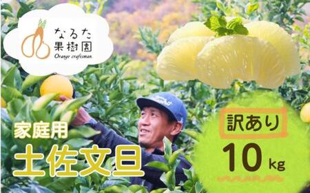 成田果樹園 の 土佐文旦 10kg 家庭用 文旦 訳あり ぶんたん [1688-2]