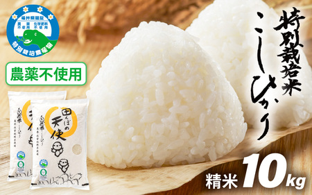 【令和7年産】農薬不使用 特別栽培米コシヒカリ10kg（5kg×2）【精米】福井県認証区分1取得「田んぼの天使」【農薬化学肥料不使用 】 [e10-d005]