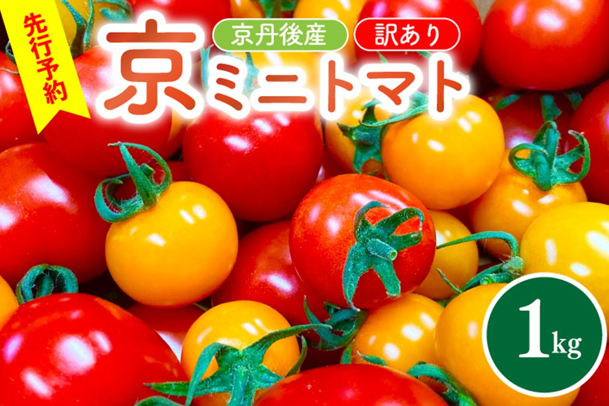 
            【先行予約】京丹後産・京ミニトマト 1kg（2026年5月中旬～発送）　野菜 ミニトマト 1キロ サラダ 色とりどり とまと 京野菜 不揃い ふぞろい わけあり 訳アリ ワケアリ 訳有り 1きろ tomato　JK00035
          