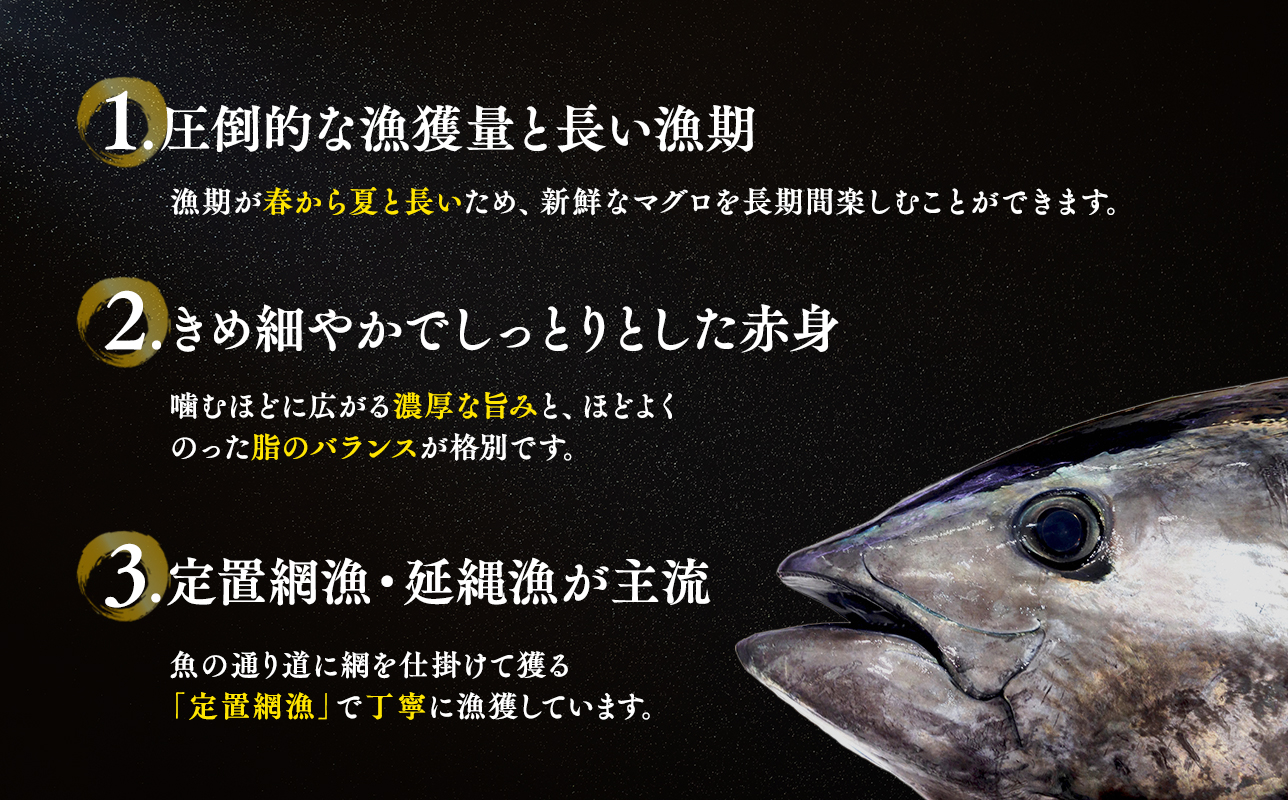 青森県深浦町産 天然本マグロ 大トロ 600g 200g×3 冷凍柵 深浦マグロ 刺身 海鮮 鮪 まぐろ【fu-0015-019_12】