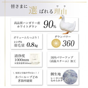 京都金桝 軽くて暖か 合掛け 羽毛布団 シングルサイズ×1枚 ハンガリーホワイトダウン90％ DP360 シンプル アクア