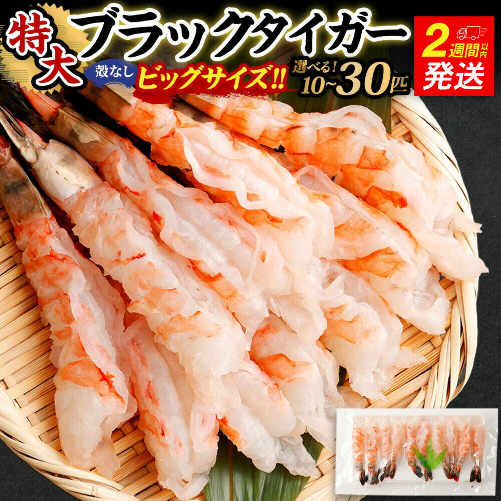 【ふるさと納税】 ★高評価!! 【選べる容量】特大ブラックタイガー（殻なし）ビッグサイズ 10匹 / 20匹 / 30匹【入金確認後14営業日程度で発送】｜ブラックタイガー 冷凍エビ 特大エビ えび 剥き むき ムキ 海老 殻剥き お取り寄せ 訳あり ギフト 阪南市