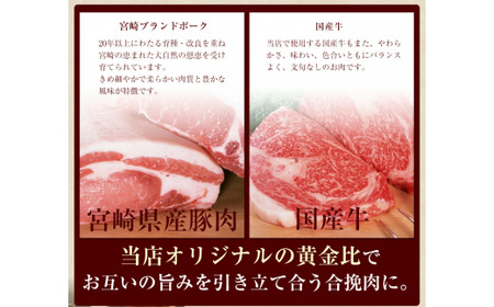 馬渡のもっちり 餃子 国産 肉 小分け 惣菜 人気 240個(40個×6パック)