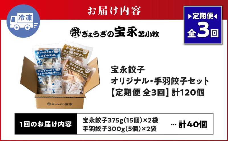 【定期便・全3回 毎月】手包み餃子 ぎょうざの宝永 手羽餃子40個セット（宝永餃子15個入×2袋・手羽餃子5個入×2袋）　T004-T06-02-02