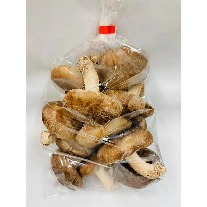 訳ありでも美味しい！自然の恵み生椎茸720g No.467