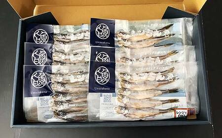 レンちん君釧路産本ししゃもセット シシャモ 冷凍 魚 海産物 一夜干し 北海道 F4F-8446