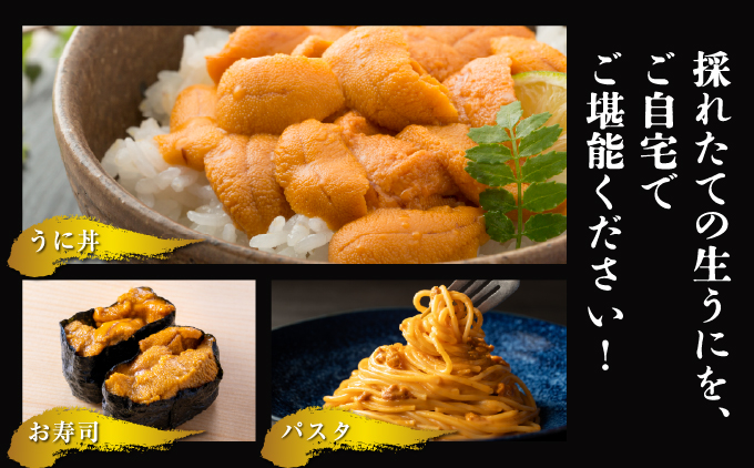 塩水うに 80g×2パック 北海道 奥尻町