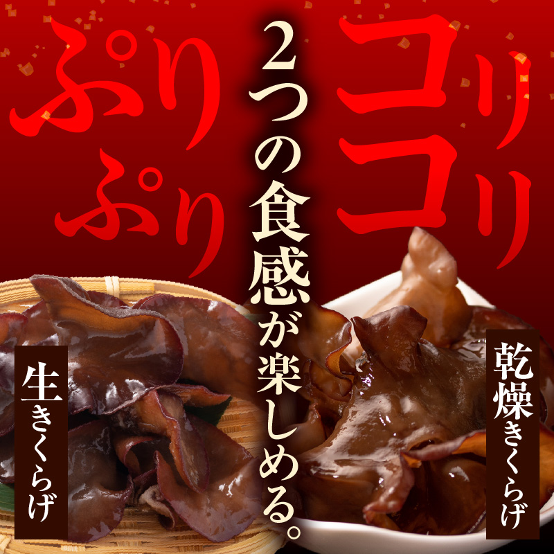 期間限定 生きくらげ 乾燥きくらげ セット 生きくらげ 150g × 2パック 計300g 乾燥きくらげ 15g × 2袋 計30g 2026年6月～10月中旬頃 お届け予定 国産 米沢産 きくらげ 