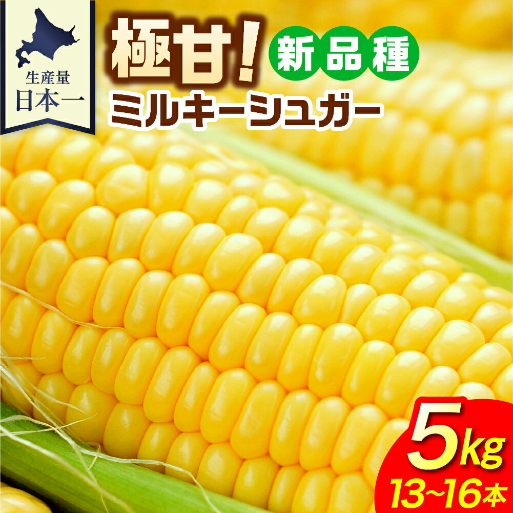 【ふるさと納税】【7月24日～8月15日頃順次発送予定】とうもろこし 極甘スイートコーン 極甘 スイートコーン ミルキーシュガー 5kg 13～16本 イエロー ファームミリオン 北海道 十勝 芽室町