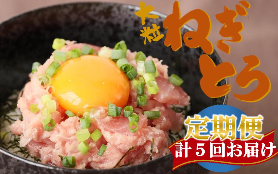 
【計5回お届け】天然マグロねぎとろ定期便 計2.5㎏（30-53）

