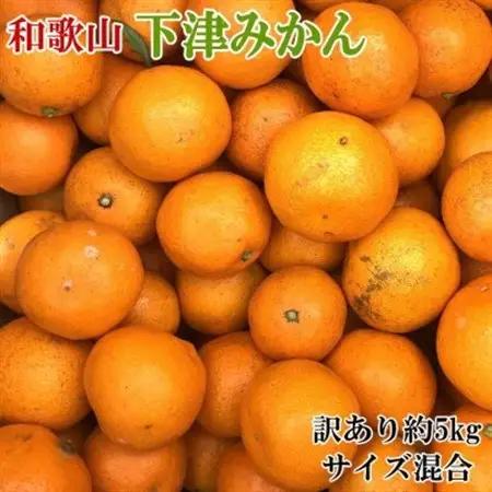 【訳あり】和歌山下津みかん約5kgご家庭用向け(サイズ混合) (日高町)【1273113】