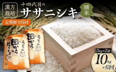 【定期便】令和5年産 漢方栽培 低温熟成乾燥 十四代目のササニシキ 5kg×2袋 （精米）全6回 米 お米 おこめ 山形県 新庄市 F3S-1704