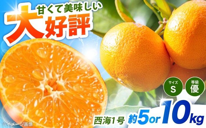 
                  【先行予約】みかん 温州みかん 西海1号 5kg / 10kg 【11月上旬から配送開始】 Sサイズ 先行予約 訳ありミカン 温州 みかん ＜西海柑橘農業協同組合＞ [CCF004] 長崎 西海 みかん ミカン mikan 蜜柑 温州みかん 限定 みかん 温州ミカン 不揃い 規格外
                