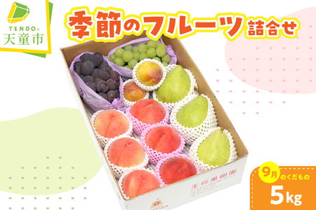 季節 の フルーツ 詰合せ 5kg 9月分 果物 山形 フルーツ