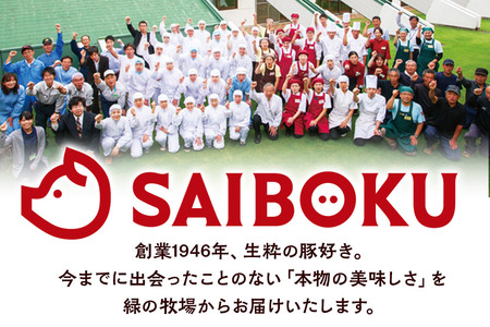 肉 豚 【冷凍】ゴールデンポーク 挽肉 4kg セット 257016U