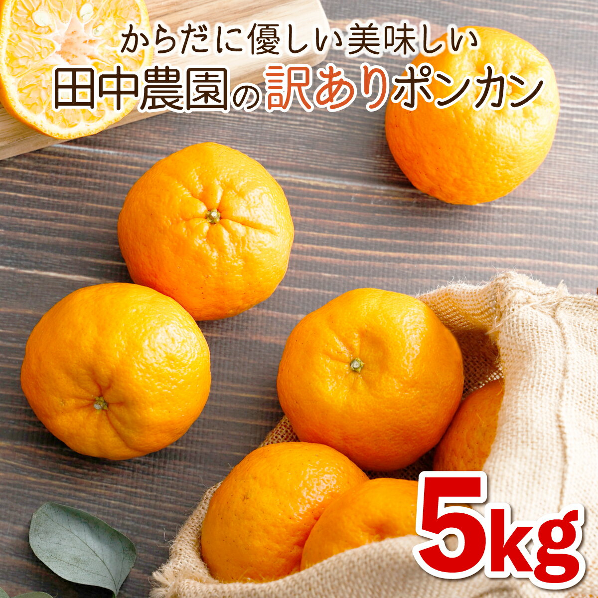 【ふるさと納税】＜先行予約＞訳ありポンカン 5kg（L~3Lサイズ） 国産 東洋町産 訳あり 甘酸っぱい ジューシー 蜜柑 ミカン高知県 東洋町 四国 お取り寄せ フルーツ 果物 送料無料 T-02