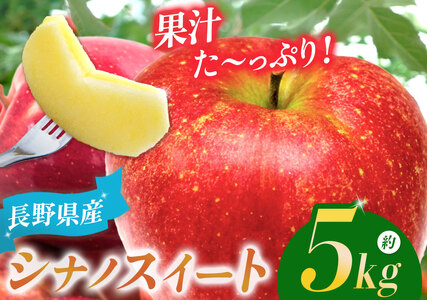 【2026年先行予約】シナノスイート 約5kg ｜ マルヒラ農園