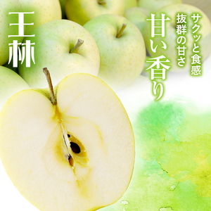 りんご 青森 サンふじ 王林 約 5kg (12～18玉) リンゴ 詰め合わせ セット サイキチ農園 食べ比べ 青森県 鰺ヶ沢町産 フルーツ 果物 贈答用 贈答 ギフト サンフジ ふじ