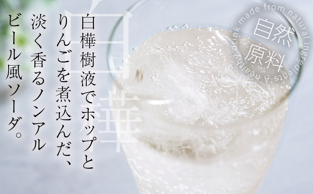 白樺樹液ソーダyadorigi（ホップとりんご）8個 北海道産 国産