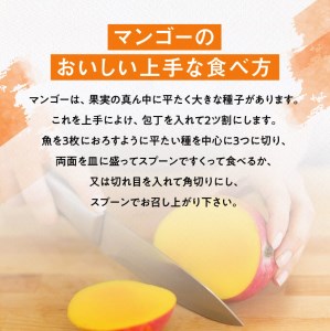 【令和8年発送】宮崎県産完熟マンゴー　三國農園　完熟マンゴー3L×2玉 【 果物 フルーツ マンゴー 宮崎県産 完熟マンゴー みやざきマンゴー 】
