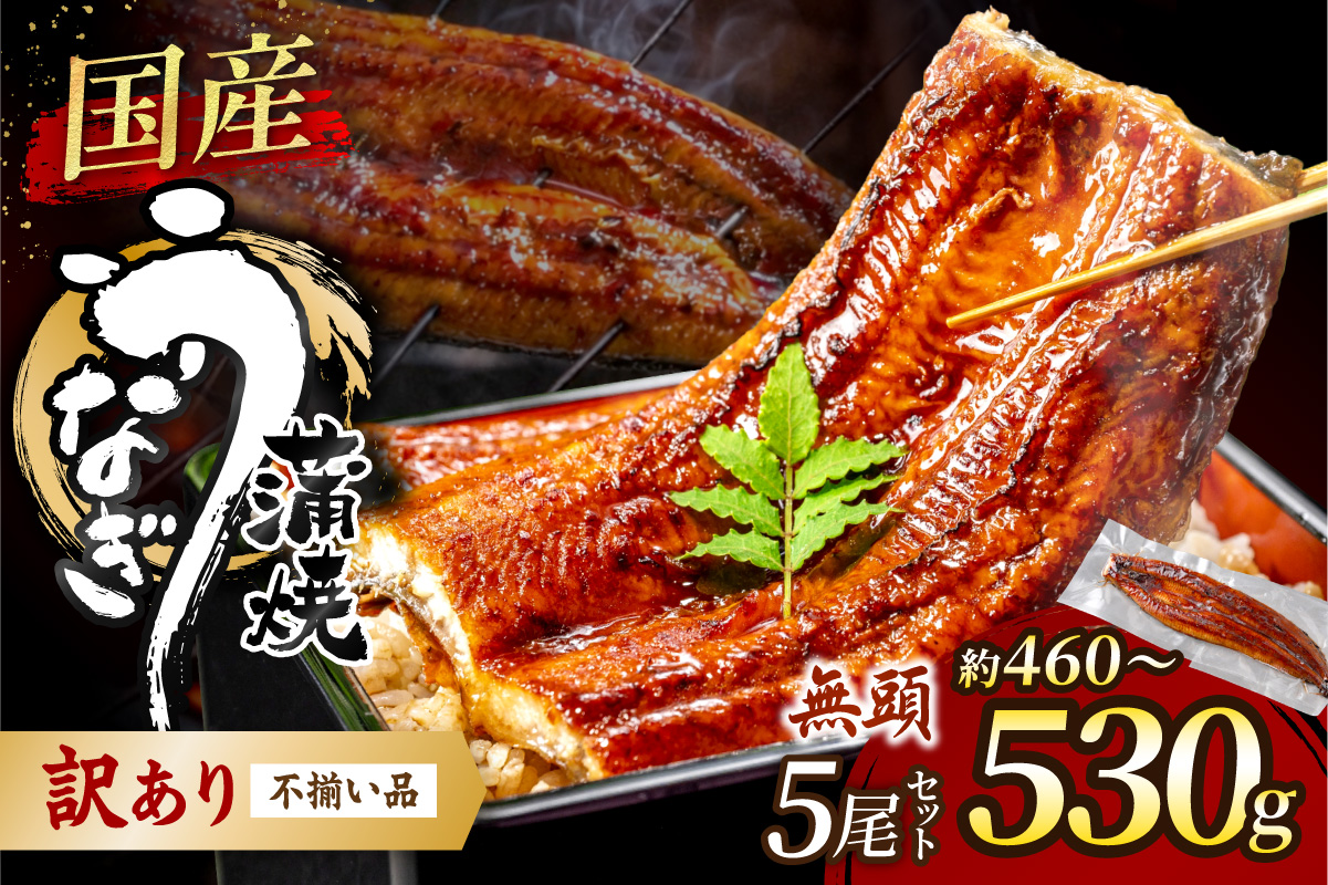〈訳あり〉国産うなぎ蒲焼 5尾 460g以上【魚住商店】_HA1999 うなぎ 国産 こだわり 丑の日 おいしい 福岡県宗像市 宗像市 福岡 宗像