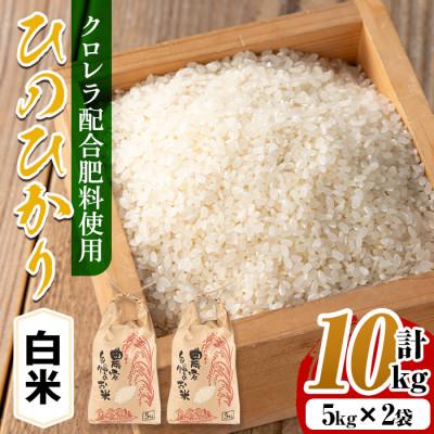 ふるさと納税 出水市 クロレラ米(ひのひかり)10kg_I872-A