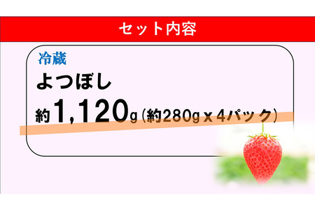 【新農場オープン記念】【先行受付 2026年1月より発送】【農場直送！】よつぼし(約280g×4P)【ふるさと納税 基山町産 いちご イチゴ 朝採れ 完熟果】K100012