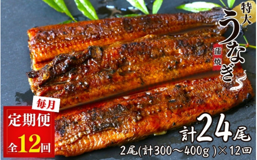 【12カ月定期便】特大うなぎ蒲焼き2本セット×12回 / 和歌山 田辺 うなぎ 鰻 かば焼き うな丼 うな重 国産 鰻丼【kpy026-tk】