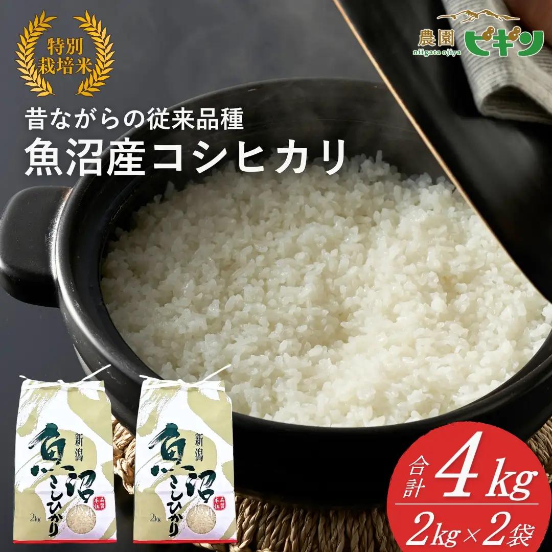 【令和8年産 先行予約】 昔ながらの魚沼産コシヒカリ 従来品種 精米 4kg（2キロ×2袋）農園ビギン | おこめ 特A評価 小千谷市 コシヒカリ