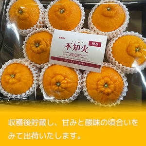 【2027年2月下旬頃から順次発送】不知火 しらぬい 約5kg 【ご贈答用】でこぽんと同品種 柑橘類 先行予約 フルーツ 柑橘類 先行予約 果物 フルーツ みかん シラヌイ 人気 おすすめ 愛媛 松山