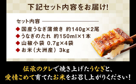 うなぎ 2尾＋お米（3kg）【冷蔵】 鰻 国産[AGAH004]