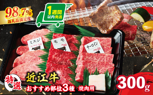 A5等級未経産雌牛　特選近江牛おすすめ部位　焼肉3種盛り　300ｇ【FO29W】