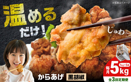 【全3回定期便】からあげ 黒胡椒味　5kg 計15kg【から太郎】[BDBC003-10]