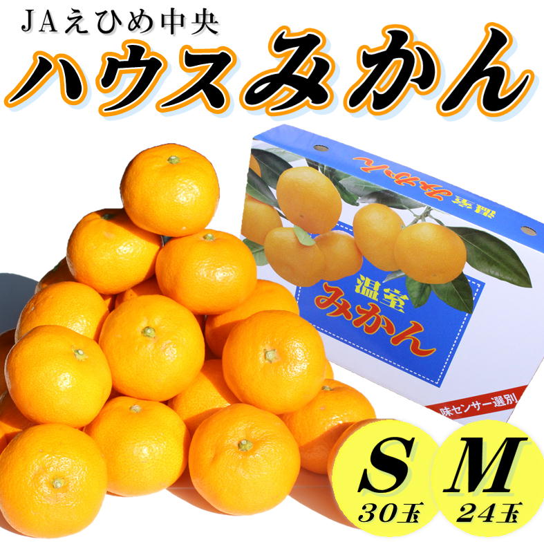 【ふるさと納税】 【2026年7月中旬頃から順次発送】ハウスみかん 愛媛 秀品 おすすめ 人気 ギフト みかん JA 愛媛県 松山市 柑橘 くだもの ミカン果汁 デザート 愛媛みかん 柑橘類 カンキツ かんきつ 蜜柑 蜜橘 樒柑 フルーツ 果物 温州みかん 温州ミカン 果肉 果汁