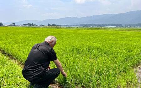 【草岡ハム】手づくりフランクフルト4種詰合せ（プレーン・さくら(馬肉)・チーズ・行者菜） F2Y-6689