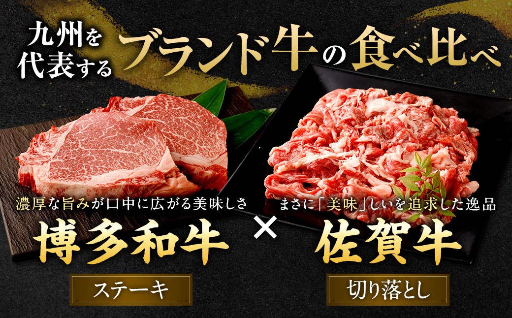 博多和牛ステーキ（ヒレ）2枚＋佐賀牛切り落とし400g