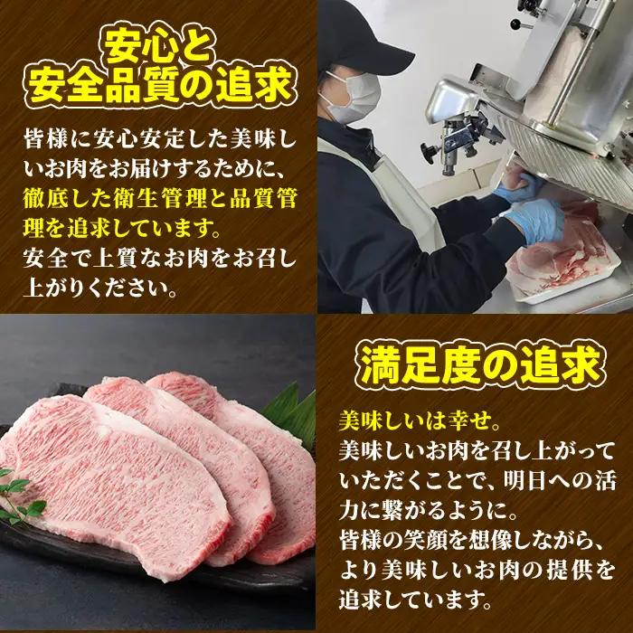 ＜訳あり＞宮崎牛 切り落とし(計1kg・500g×2P) 牛肉 肉 ブランド牛  冷凍 国産 精肉 お取り寄せ 黒毛和牛 宮崎県 【LJ005】【ローカルブランディング株式会社】