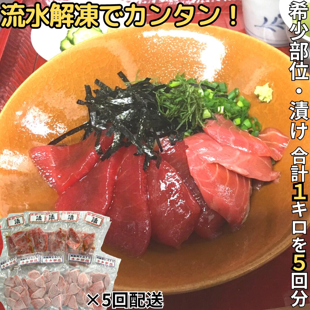 【ふるさと納税】 （全5回配送）天然！三崎まぐろ漬け・希少部位（背トロ）のまぐろ丼セット定期便【流水解凍で簡単】