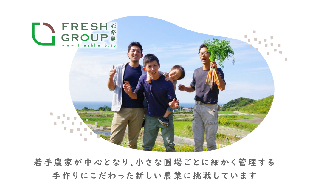 【定期便】彩り野菜と香るハーブセット　１２回お届けセット　　[野菜セット 野菜詰め合わせ 野菜セット 野菜セット 野菜セット ハーブ 野菜セット 野菜セット 野菜セット 野菜セット 野菜セット 野菜セ