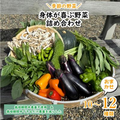 ふるさと納税 鹿嶋市 『身体が喜ぶ野菜』(おまかせ10〜12品)
