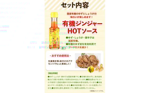 有機HOTソース+調味料セット 5種セット 計6個 光食品株式会社《30日以内出荷予定(土日祝除く)》徳島県 上板町 ケチャップ ピザソース ドレッシング ポン酢 しょうゆ ホットソース HOTソース