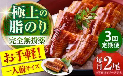 【3回定期便】高知県産 うなぎ蒲焼き 約90g×2尾 タレ付き 【株式会社 四国健商】 [ATAF146] うなぎ ウナギ 鰻 炭火焼 手焼き ひつまぶし 土用の丑の日