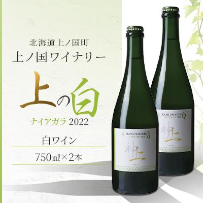 ふるさと納税 上ノ国町 北海道産 上ノ国ワイナリー 白ワイン「上の白 ナイアガラ 2022」 750ml×2本