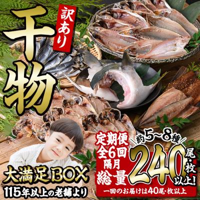 ふるさと納税 佐伯市 <定期便・全6回 (隔月)>訳あり 干物大満足BOX (240尾以上)